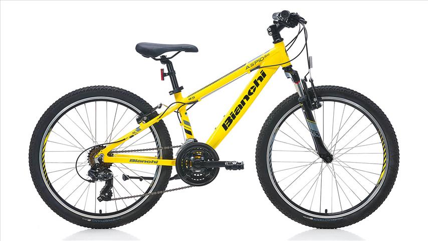 Bianchi ASPID 24 21 VB