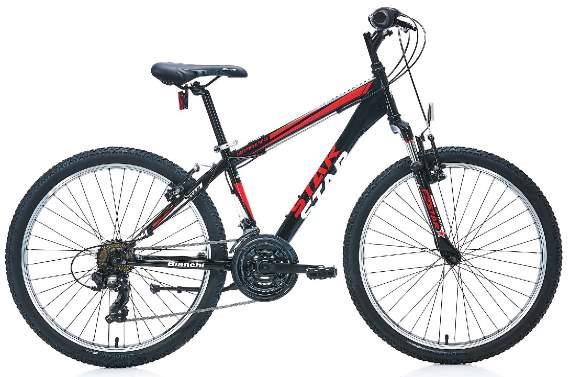 Bianchi Star 24"